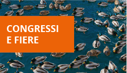 Congressi_e_Fiere
